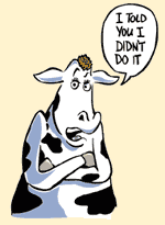 cow saying I told you I didn't do it