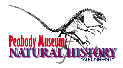 Peabody Logo