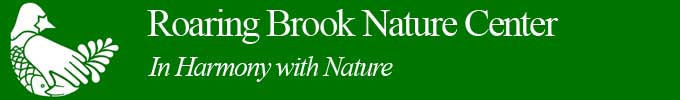 Roaring Brook logo