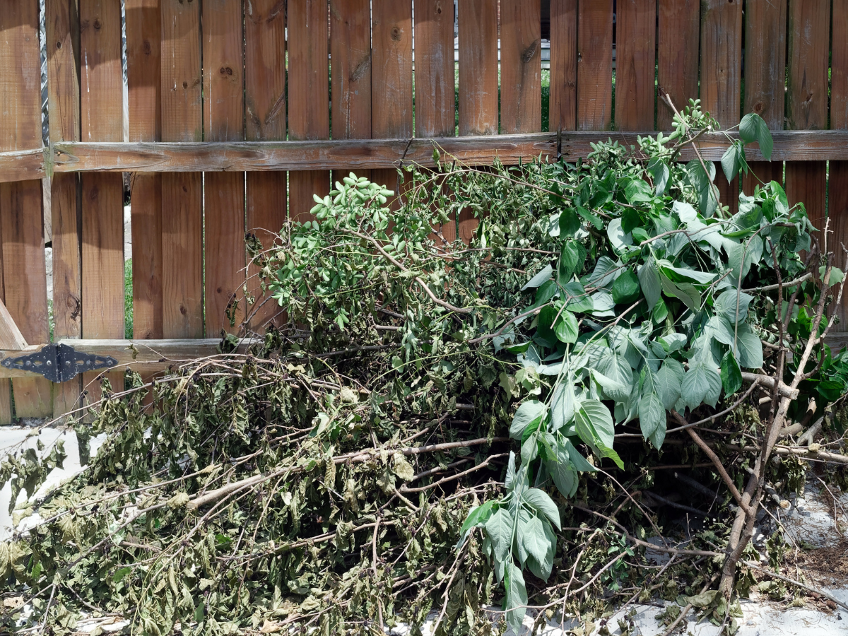 Invasive-Plant-Pile.png
