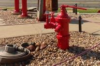 Memorial hydrant flows nearby to honor