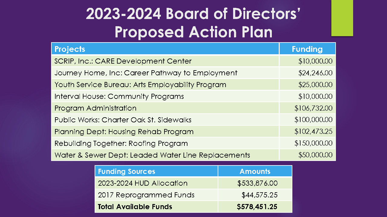 CD033 BoD Proposed Action Plan.jpg