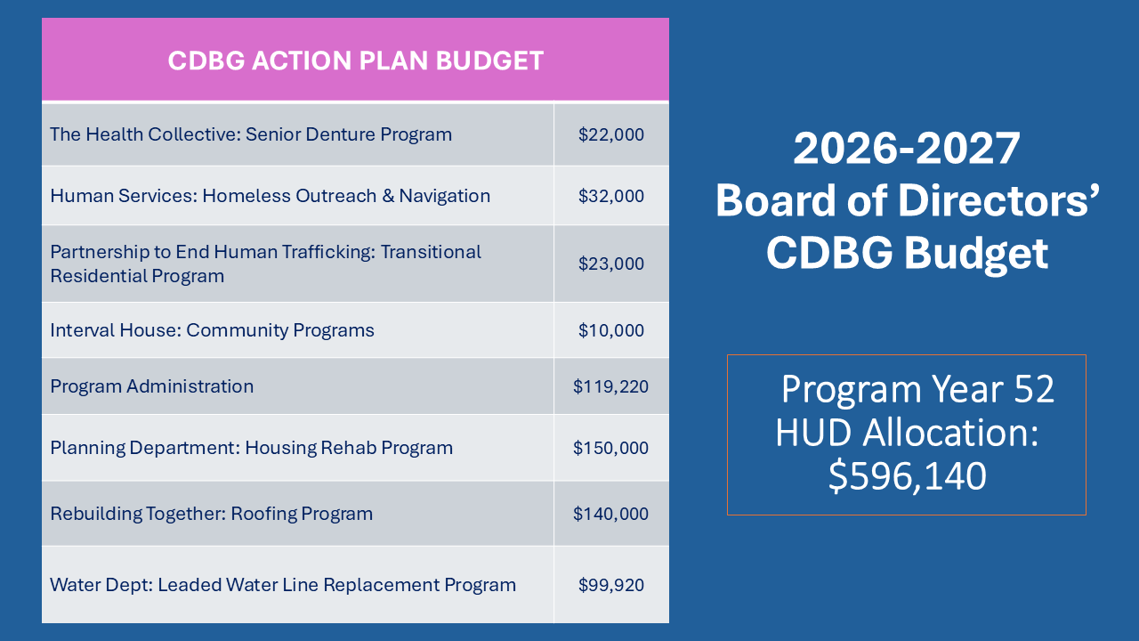 CD036 BoD APPROVED Action Plan budget for website.png
