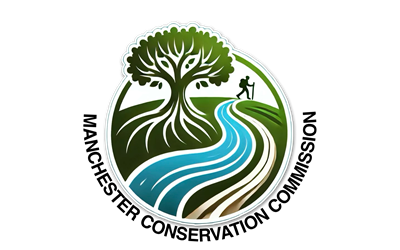 LOGO_Black_Type.png