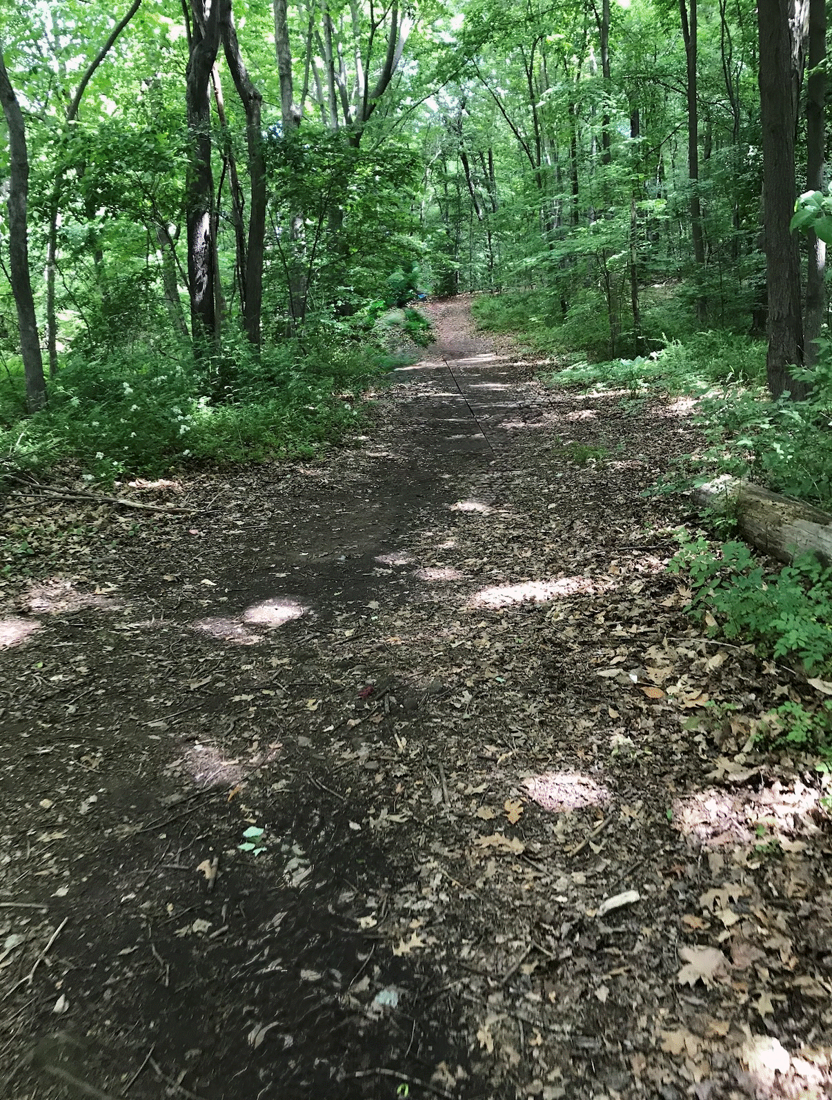 Union Pond Trail phot.gif