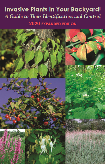 Invasive Plants in Your Backyard thumbnail