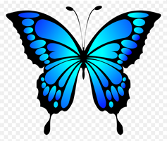 butterfly lee.png