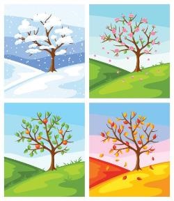 4 seasons.jpg