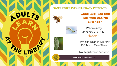 Good Bugs bad Bugs Jan 2026.png