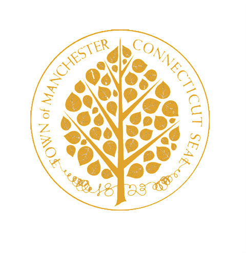 logo bri.PNG
